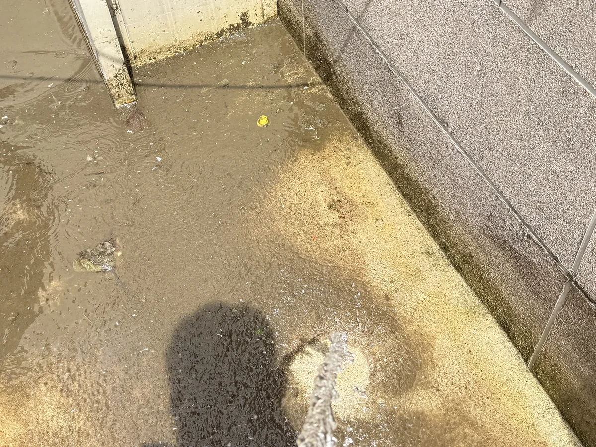 단양군 어상천면 배관 관리실·기계실 위생청소 사례 - 행진크린